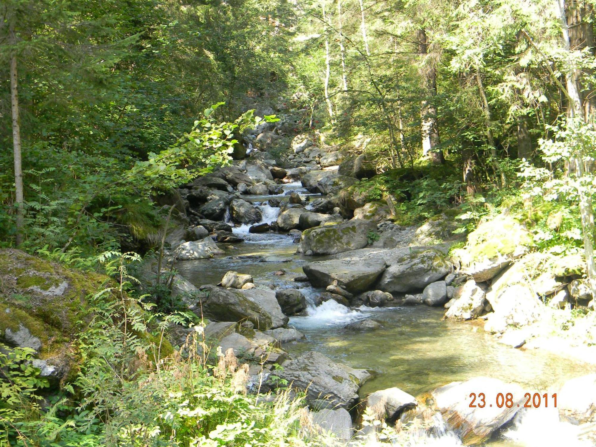 Gasthof Bärwald *